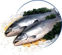 Рыбная отрасль РФ: рост экспорта рыбной продукции привлек инвестиции