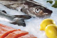 Россельхознадзор: есть ряд предложений по упрощению процедуры оформления экспорта российской рыбной продукции в 2011 г.