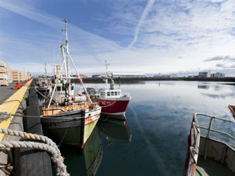 ЕС отказался разгружать рыболовные шхуны Исландии из-за 