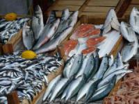Администрация Ростовской области окажет финансовую помощь местным рыбакам и рыбопереработчикам