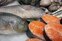 Япония заинтересована в поставках охлажденной рыбы с Дальнего Востока