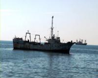 Камчатка: рассмотрено уголовное дело по обвинению капитана панамского судна «Ронд»