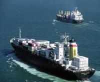 Объем перевалки грузов в морских портах России в текущем году может вырасти до 560 млн. тонн