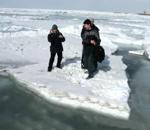 Рыбаки на льдине приплыли из Волгоградской в Ростовскую область